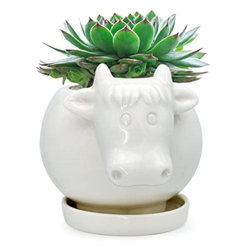 GeLive White Cow Ceramic Planter Small Succulent Pot Cute Cartoon Animal Plant Pot with Drainage Tray Pencil Holder Brush Organizer Tabletop Storage Stand Indoor Home Decor Cow Statue Fun Stuff