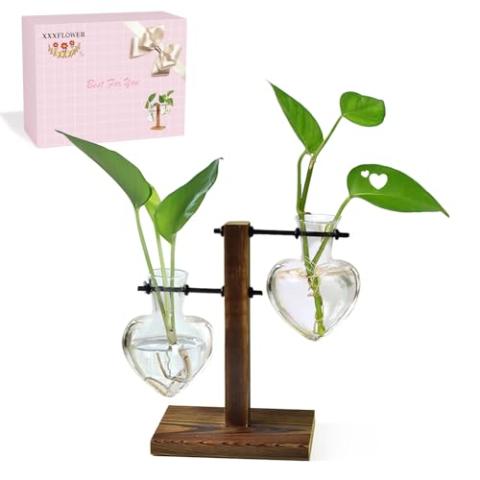 XXXFLOWER Plant Terrarium Wooden Stand, Hydroponic Planter Bulb Glass Metal Swivel Holder Retro Air Plants Water Plants for Home Office Decoration, Plant Lover Gifts - 2 Love Bulb Vase