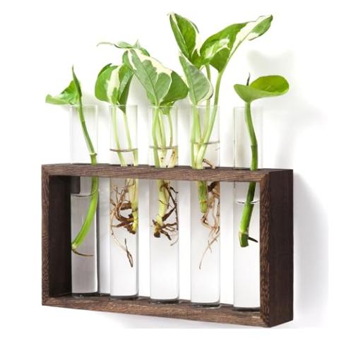 Mkono Wall Hanging Glass Planter Plant Terrarium Modern Flower Bud Vase in Wood Stand Rack Tabletop Terrarium for Propagating Hydroponic Plants, Home Office Decoration with 5 Test Tube, Medium, Brown