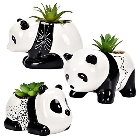 AASHDP Cute Animal Succulent Pots Bulk, Small Animal Succulent Planters for Indoor Plants, Mini Panda Flower Ceramic Pots Set of 3