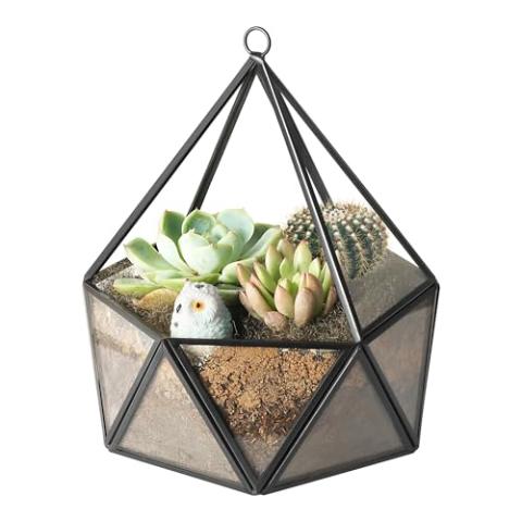 ElegantLife Glass Geometric Terrarium,Succulent & Air Plant(No Plant Included) (Black)