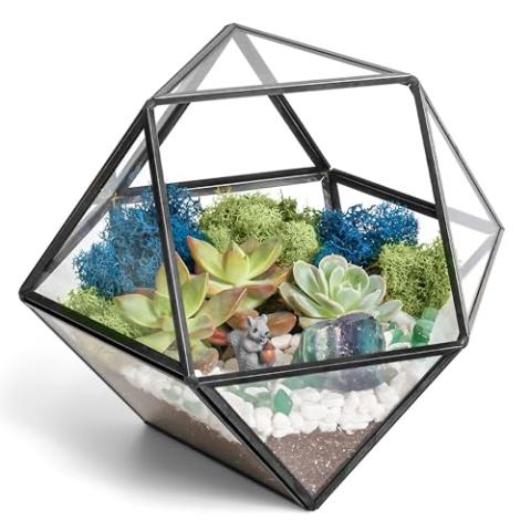 7” DIY Succulent Terrarium Kit with Live Plants, Decorative Rocks, Moss & Healing Crystals, Figurine, Terrarium Tools, Geometric Glass Terrarium Decor