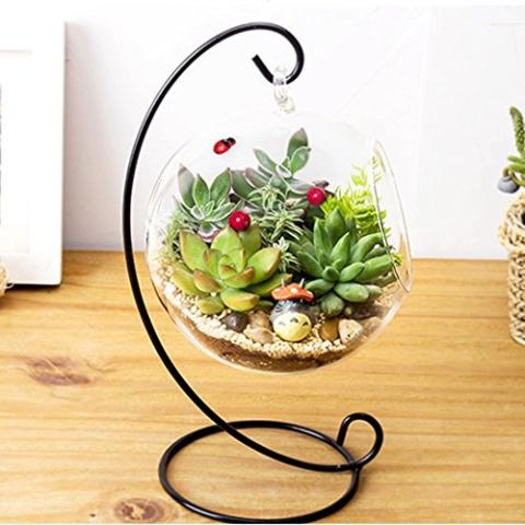 Clear Glass Vase Hanging Large Plant Terrarium with Black Metal Stand for Air Plants Succulent