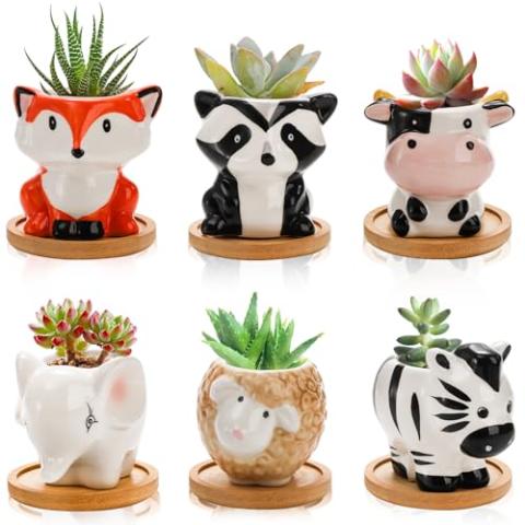 Pumtus 6 Pack Small Succulent Pots with Drainage Hole, 3 Inch Cute Ceramic Animal Planter with Saucer, Unique Air Plant Holder, Desktop Plant Flower Pot for Indoor Plants, Cactus, Garden, Home Decor