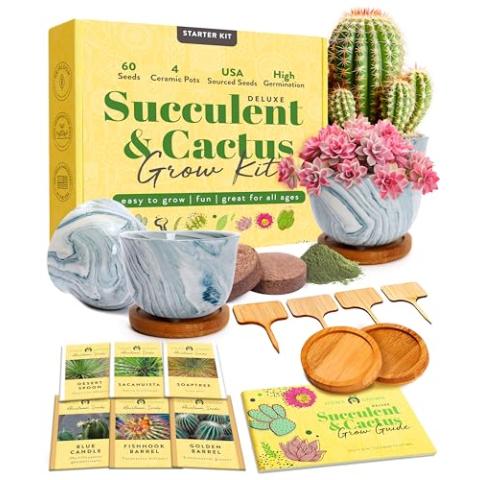 Bonsai Tree Kit - Gifts for Men & Women (Cactus Ceramic Kit)