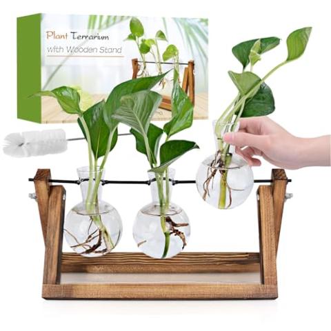 Renmxj Plant Propagation Station, Plant Terrarium with Wooden Stand, Unique Gardening Birthday Gifts for Women Plant Lovers, Home Office Garden Decor Planter - 3 Bulb Glass Vases