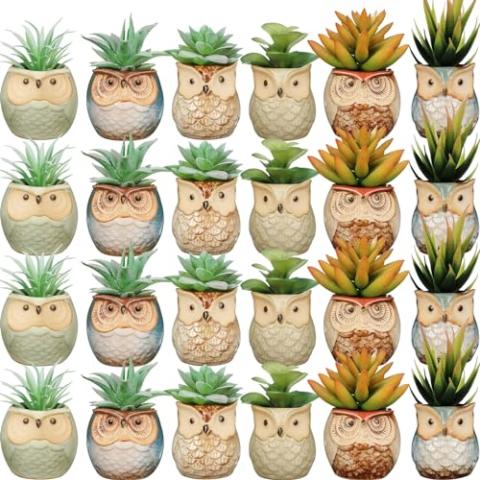 Nitial 24 Pack Owl Succulent Plant Pots Mini Owl Pot with Drainage Hole Cute Planters Small Ceramic Pots for Plants, Plants Not Included, Home Office Desk Garden Gift Ideas (Cute,2 Sizes)