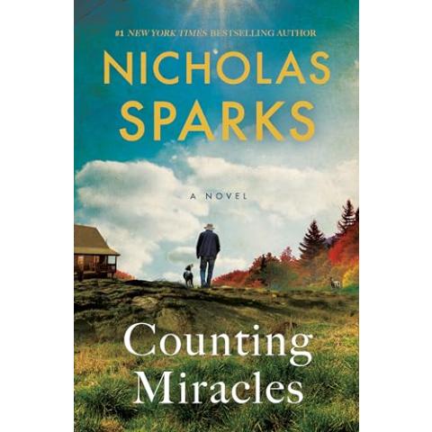 Counting Miracles: A Novel