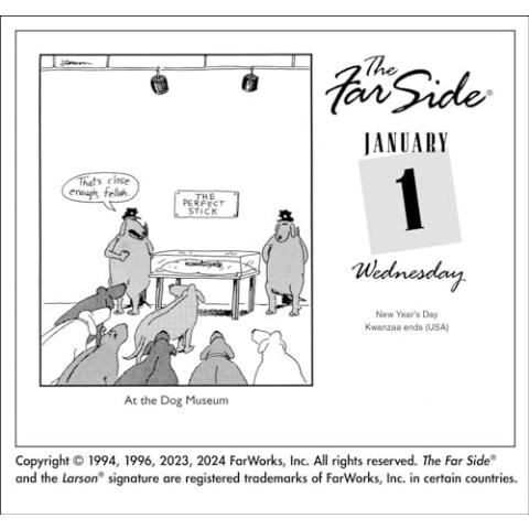 The Far Side® 2025 Off-the-Wall Day-to-Day Calendar
