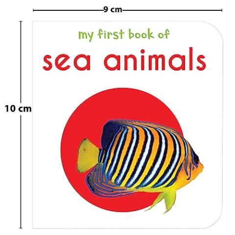 My First Library: Boxset of 10 Board Books for Kids