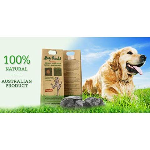 Dog Rocks Dog Pee Grass Neutralizer for Green Grass in 3-5 Weeks | Dog Grass Saver Rock | 100% Natural Urine Neutralizer for Lawn, Grass and Hedges | Grass Savers for Dog Urine | 600g, 6 Month Supply