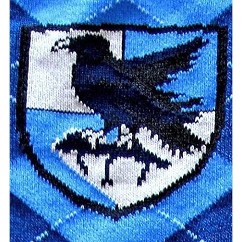 Harry Potter Ravenclaw School Uniform Knee High Socks