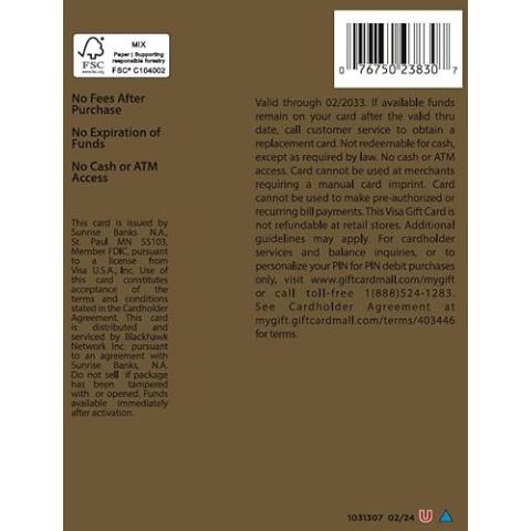 Visa $100 Gift Card (plus $5.95 Purchase Fee)