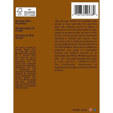 Visa $25 Gift Card (plus $3.95 Purchase Fee)