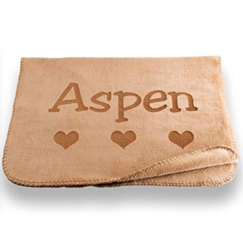 Custom Catch Personalized Dog Blanket - Gray or Beige - Small