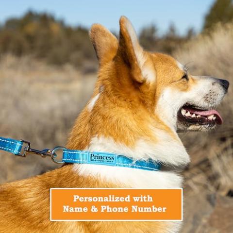 PAWBLEFY Personalized Dog Collars - Reflective Nylon Collar Customized with Name and Phone Number Adjustable Sizes for Small Dogs, Medium, Large 4 Colors Male Female boy Girl Puppies