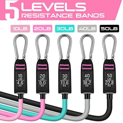 RENRANRING Resistance Bands for Working Out, 150LBS Exercise Bands, Workout Bands, Resistance Bands Set with Handles for Men Women, Legs Ankle Straps for Muscle Training