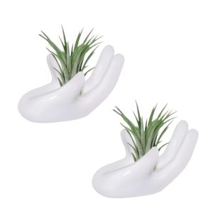 Ourhommie Air Plant Holder - 2 PCS