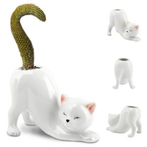 Ceramic Tailless Cat Succulent Pot
