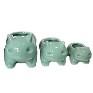 Pinsjar 3 Pack Cute Animal Succulent Plant Pots