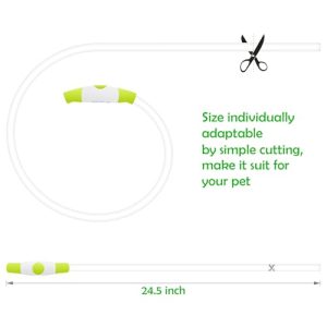 BSEEN LED Dog Collar: Safety Light for Nighttime Walks