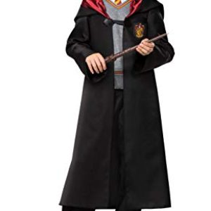 Harry Potter Wand: Authentic Hogwarts Costume Accessory