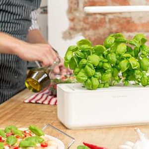Click & Grow Indoor Herb Garden Kit: Fresh Herb Lover’s Dream