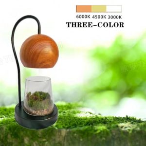 Tiny Plant Terrarium Modern Style Wood Grain DIY Kit