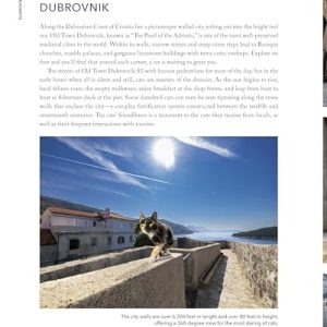 Cats of the World: A Feline Exploration