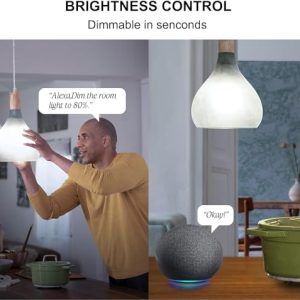 Sengled Alexa WiFi Light Bulb: Voice Assistant Compatible