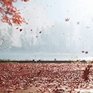 Ghost of Tsushima Director’s Cut: Masterful Gift for Samurai Admirers