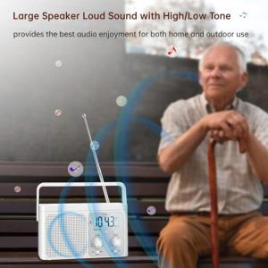 DreamSky Portable AM FM Shortwave Radio