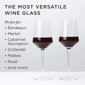 Viski Raye Bordeaux Wine Glasses & Decanter Set