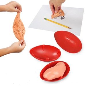 Crayola Original Silly Putty Pack of 6