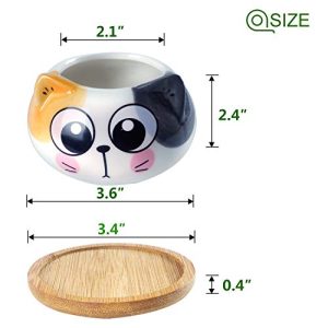 YINUOWEI Mini Cat Succulent Pots