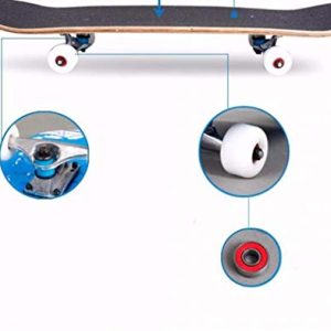 Complete Skateboards for Beginners - 31 Inches