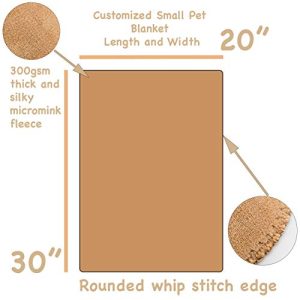 Custom Catch Personalized Dog Blanket – Small