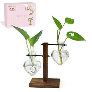 XXXFLOWER Plant Terrarium Wooden Stand
