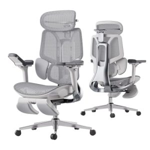 Hbada E3 Ergonomic Office Chair - Dynamic Support