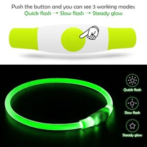 BSEEN LED Dog Collar: Safety Light for Nighttime Walks