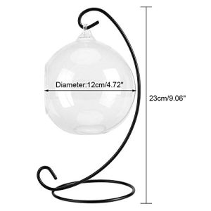 Clear Glass Vase Hanging Plant Terrarium