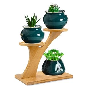 XXXFLOWER Bamboo Plant Stand