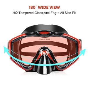 Wide View Snorkel Mask & Dry Top Snorkel Set