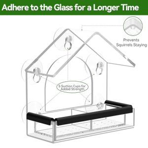 DY-SKTY Clear Window Bird Feeder with Suction Cups