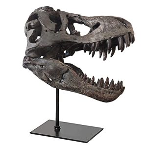 Pombconw T Rex Skull Replica: Unique Dinosaur Decor Accent
