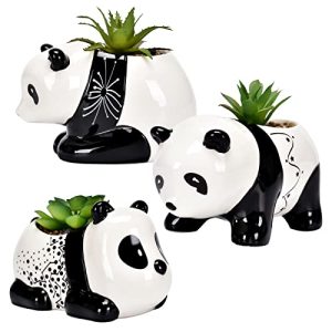 AASHDP Cute Animal Succulent Pots Set