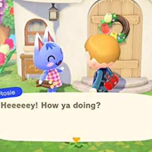 Animal Crossing: New Horizons – Life Simulation