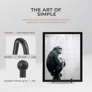 TR-LIFE Plate Display Stands