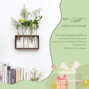 Mkono Wall Hanging Glass Planter Plant Terrarium