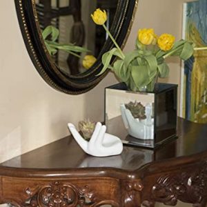 Ourhommie Air Plant Holder – 2 PCS